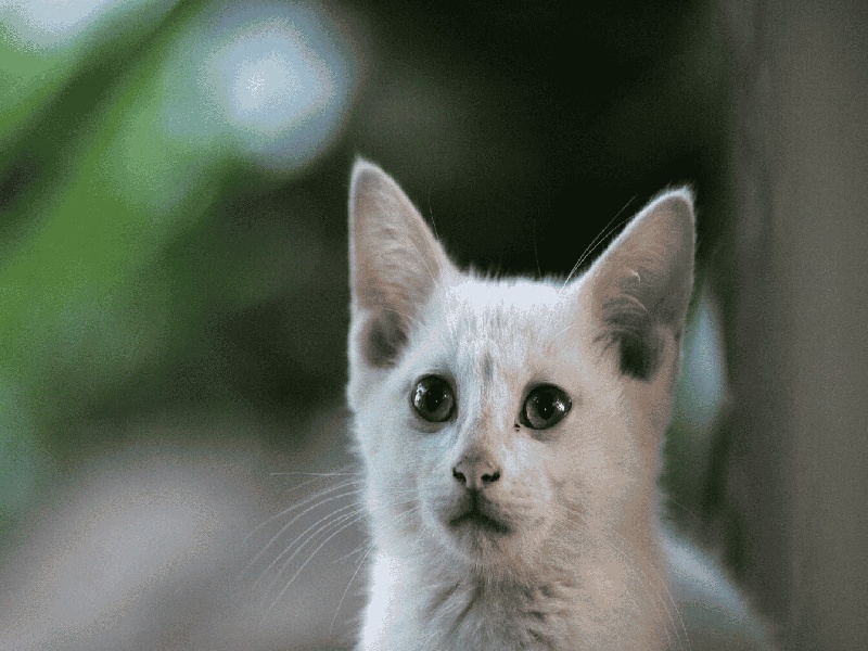 <strong>国内人工试管手术疼吗（正常夫妻试管受孕）</strong>